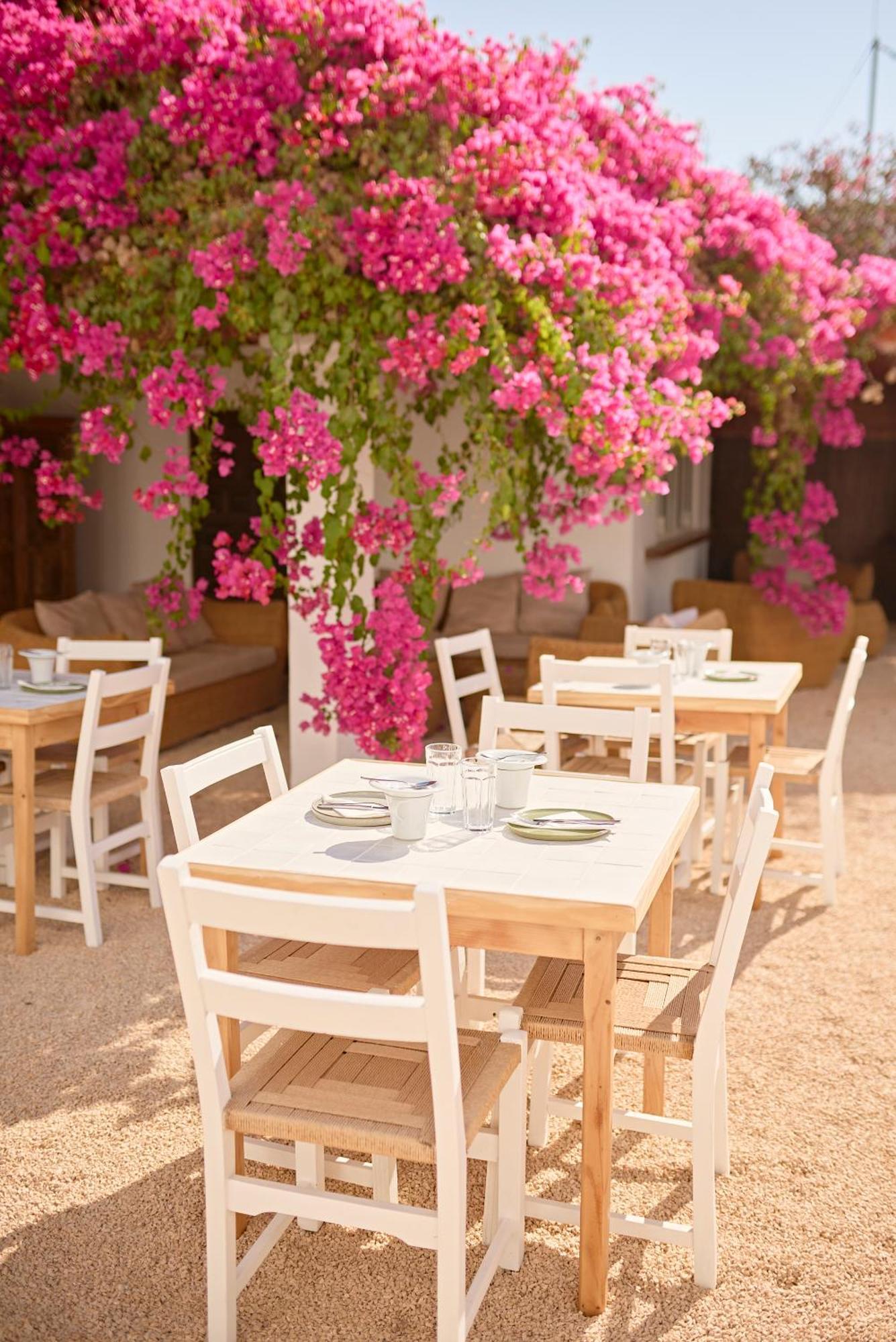 Ibara Ibiza Hotel Boutique Es Cana Eksteriør bilde